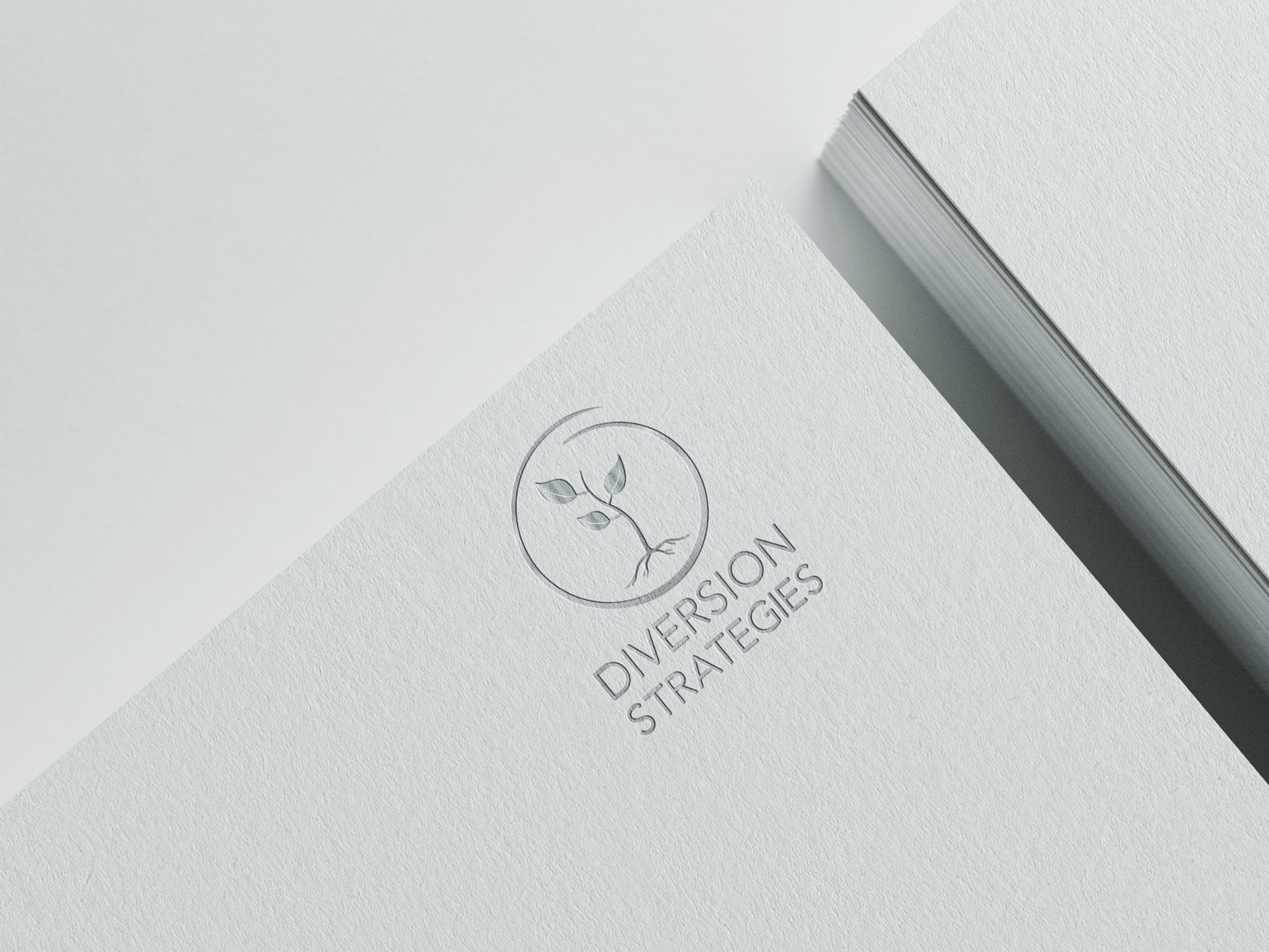 Embossed paper wth the DS logo
