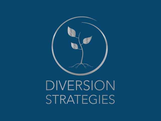 Diversion Strategies logo