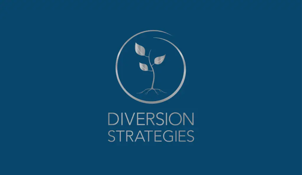 Custom logo and brand identity by Katagraphics