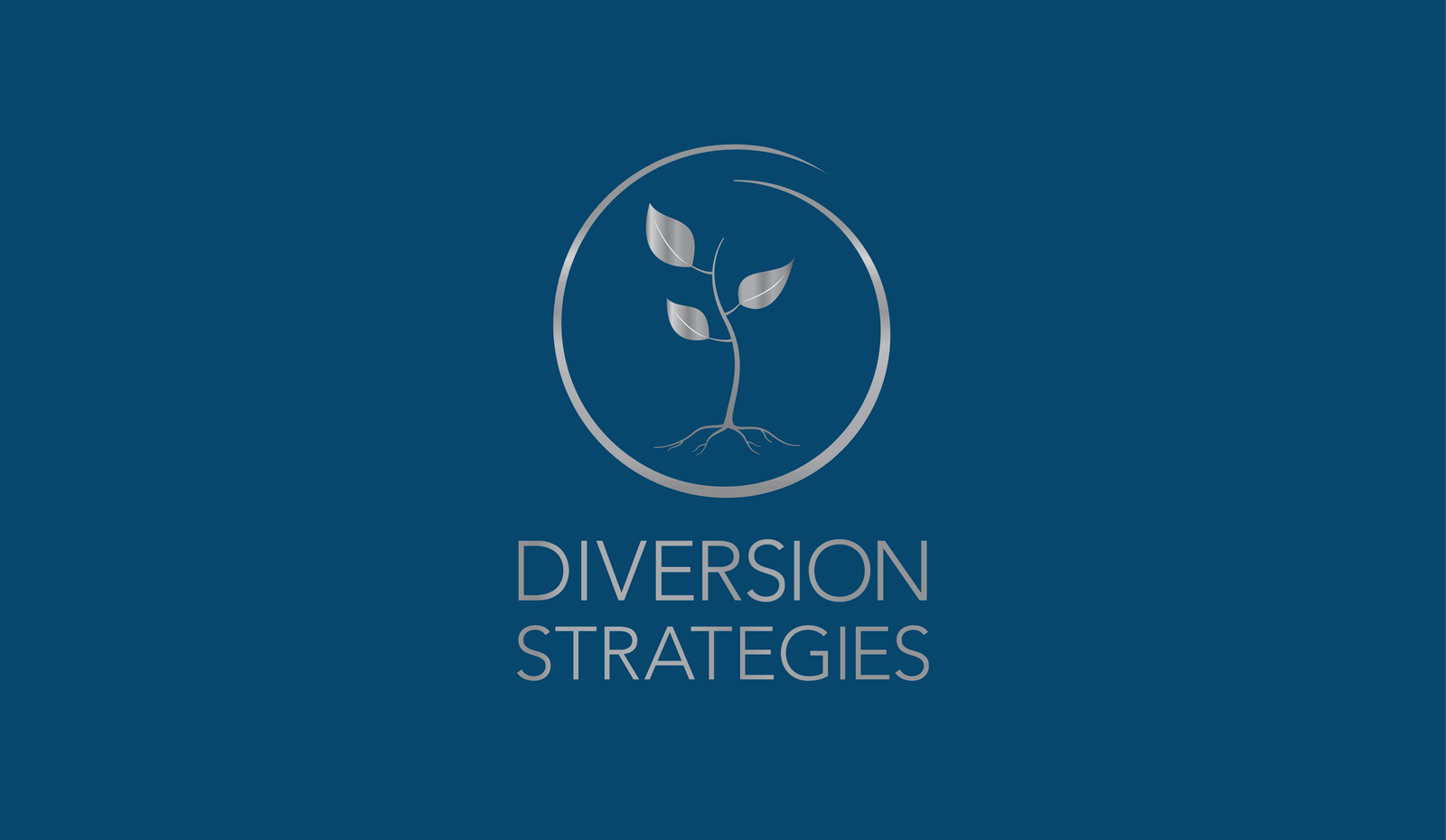 Diversion Strategies Logo