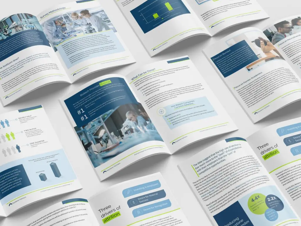 Keystone partners White paper design
