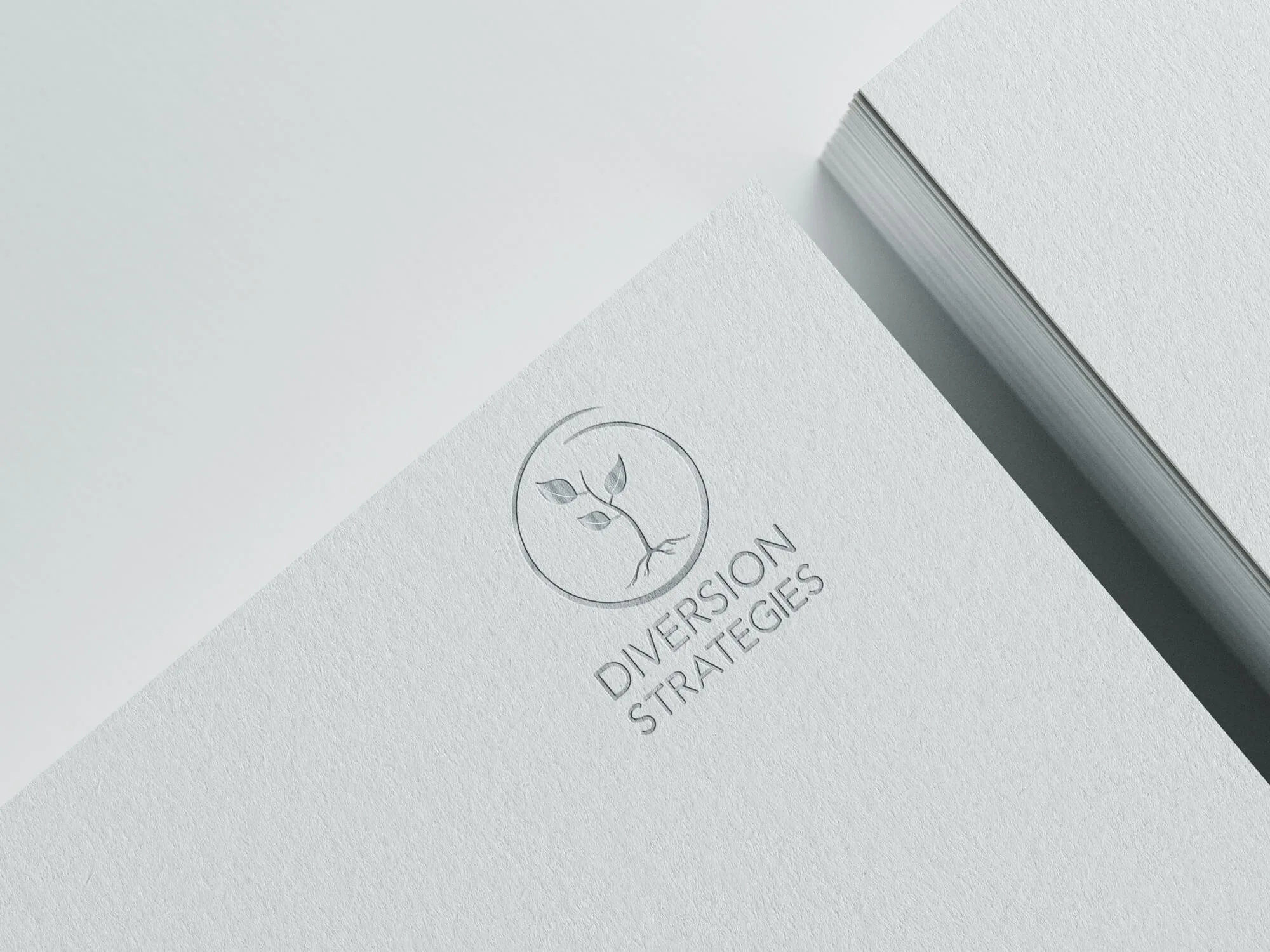Brand Identity design for Diversion Strategies, California based small business.
