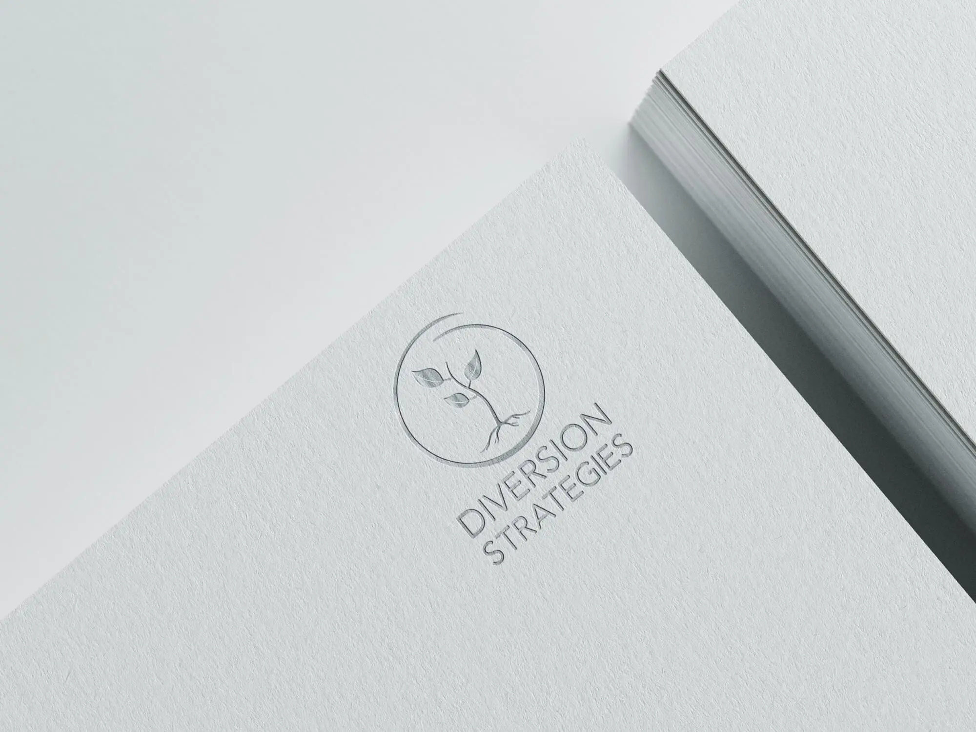 Brand Identity design for Diversion Strategies, California based small business.