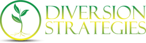 Diversion Strategies old logo.