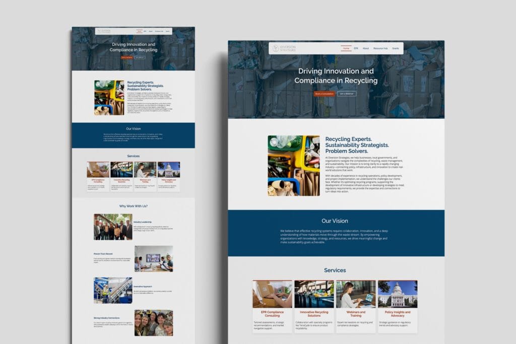 Diversion Strategies consultancy website design.